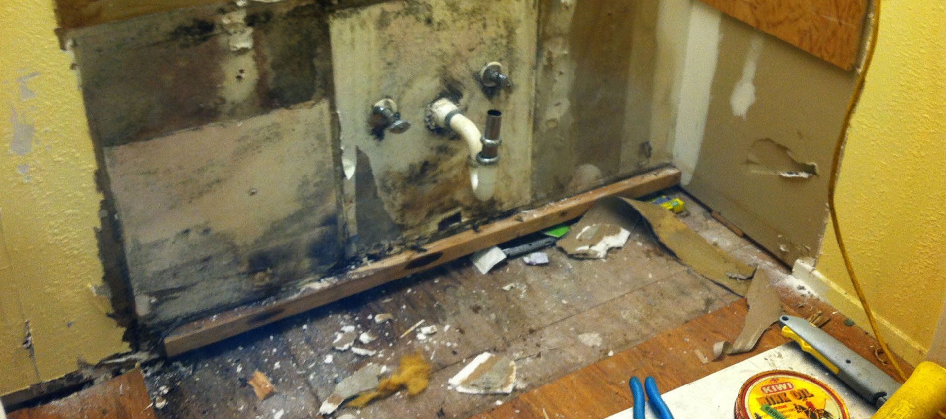 Mold-damaged utility closet before remediation